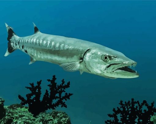 Barracuda Underwater paint by numbers