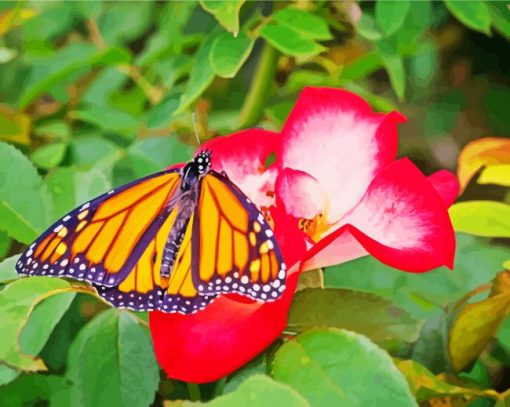 Beautiful Rose And Butterfly paint by numbers