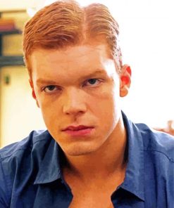 Cameron Monaghan paint by numbers