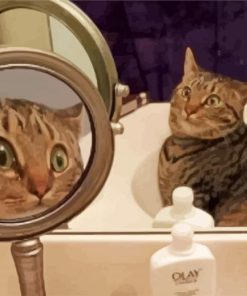 Cat And Mirror paint by numbers