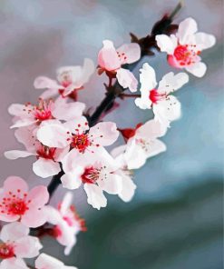 Japanese Cherry Blossom paint by numbers