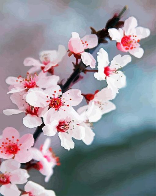 Japanese Cherry Blossom paint by numbers