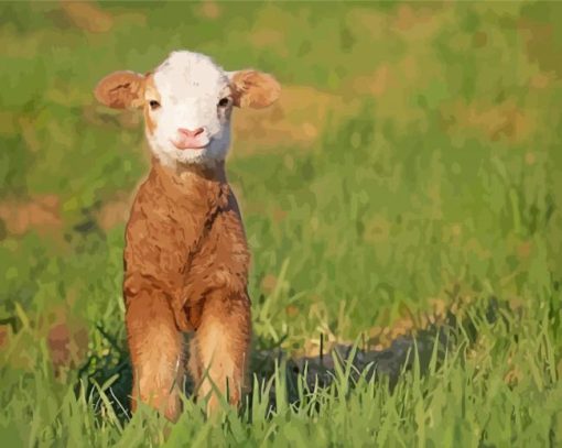 Cute Little Smiling Sheep paint by numbers