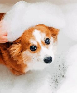 Cute Little Dog Bathing paint by numbers