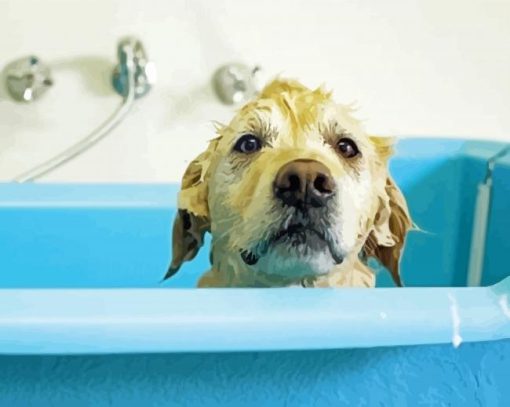 Dog Bathing paint by numbers