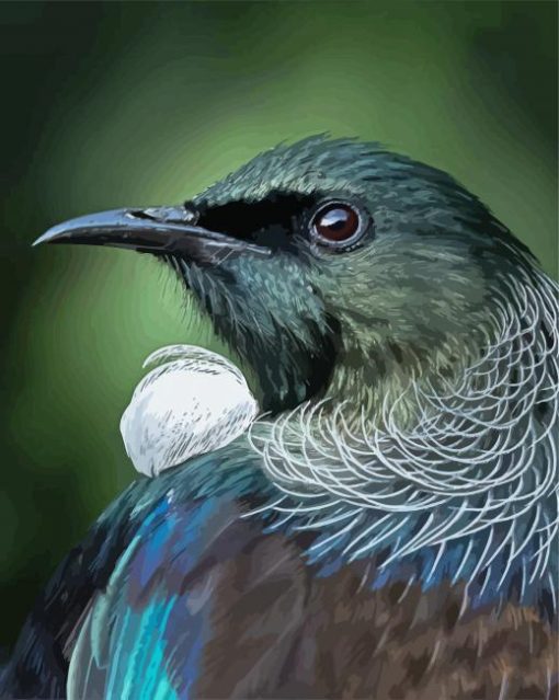 Honeyeater Tui Head Paint by numbers