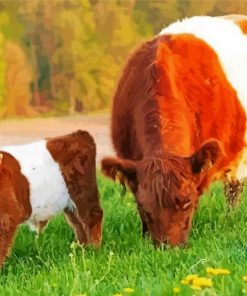 little Belted galloway and his mom paint by number