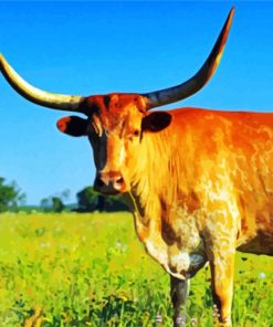 Longhorn Cow paint by numbers