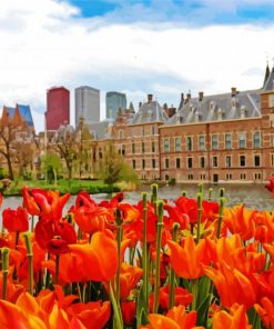 Orange Flowers The Hague paint by numbers