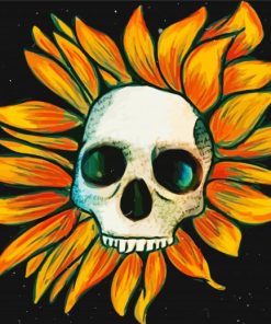 Sunflower Skull paint by numbers