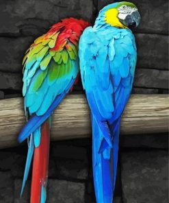 Blue Gold Macsaw Parrot Birds paint by numbers