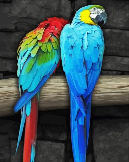 Blue Gold Macsaw Parrot Birds paint by numbers