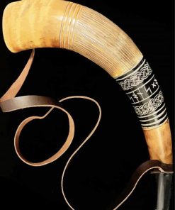 Viking Blowing Horn paint by numbers