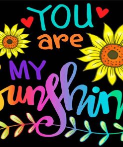 You Are My Sunshine paint by numbers