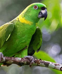 Amazon Parrot On Branch paint by numbers