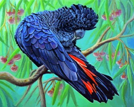 Red Tailed Black Cockatoo Bird paint by numbers