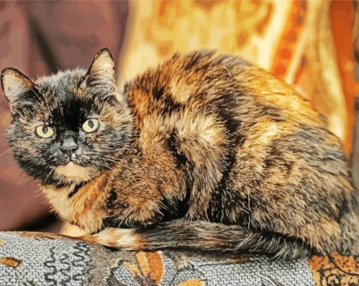 Tortoiseshell Cat Paint by numbers