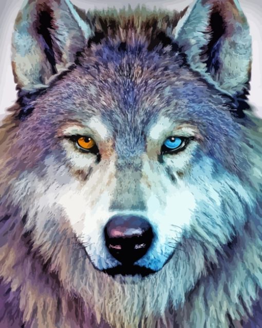 Two Different Color Eyes Wolf paint by numbers