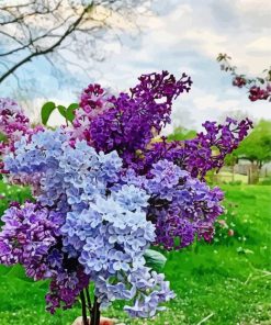 Cute Lilac Tree paint by numbers