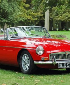 red Mgb Car paint by numbers