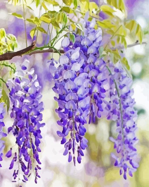 Purple Wisteria Flowers paint by numbers