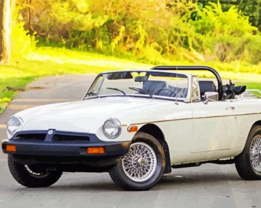 White Mgb Car paint by numbers