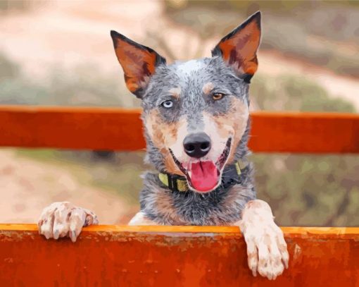 Australian Heeler paint by numbers