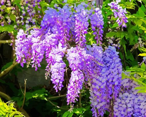 Purple Flowers Wisteria paint by numbers