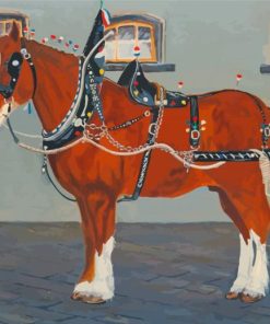 Clydesdale Horse paint by numbers