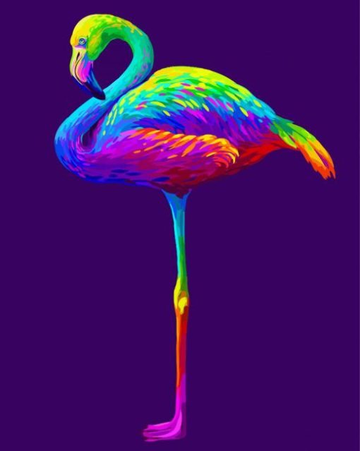 Colorful Abstract Flamingo paint by numbers