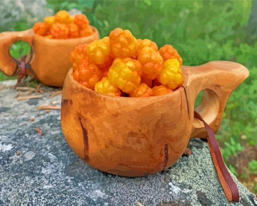 Cloudberries In Lapland paint by numbers