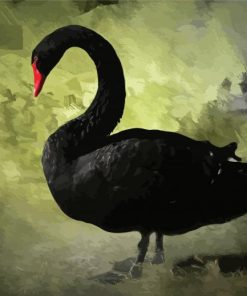 Black Swan Bird paint by numbers