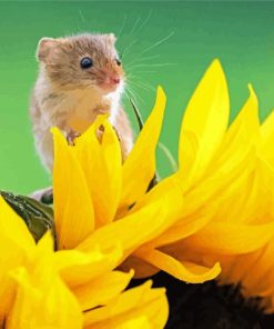 Cute Mouse And Sunflower paint by numbers