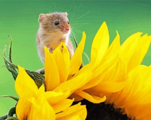 Cute Mouse And Sunflower paint by numbers