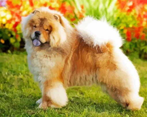 Cute Chow Chow Illustration paint by numbers