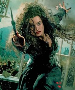 Bellatrix Lestrange Harry Potter Paint By Numbers