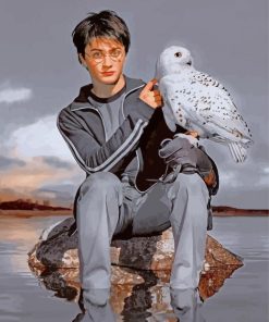 Harry Potter And Hedwig Paint By Numbers