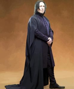 Professor Severus Snape paint by numbe