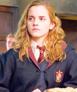 Hermione Granger paint by numbers