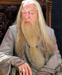 Professor Albus Dumbledore Harry Potter Paint By Numbers