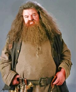 Rubeus Hagrid From Harry Potter Paint By Numbers