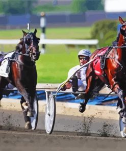 Aesthetic Hambletonian Stakes paint by numbers