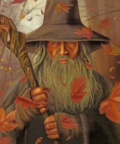 Gandalf Illustration Paint By Numbers