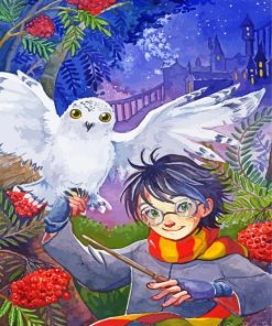 Hedwig And Harry Potter Paint By Numbers