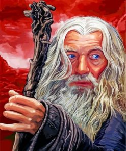 Gandalf Lord Of The Rings Paint By Numbers