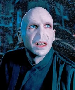 Voldemort paint by numbers