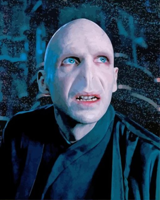 Voldemort paint by numbers