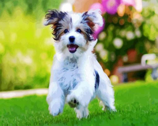 Morkie Dog paint by numbers