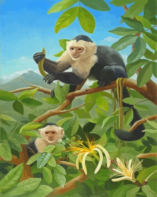 Capuchin Monkey On Tree paint by numbers