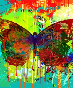 Abstract Splash Butterfly paint by numbers